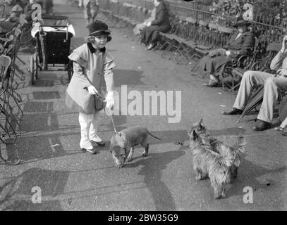 Fille Hermione Baddeley dans le parc . Pauline Tennant , la fille de six ans de Miss Hermione Baddeley l'actrice et l'honorable David Tennant , photographiés à Hyde Park , Londres pendant une promenade du dimanche . 19 mars 1933 Banque D'Images