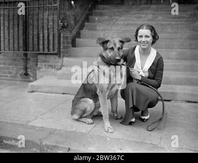 Chien à apparaître sur scène du célèbre théâtre de Londres pour la première fois . Un chien alsacien apparaîtra avec Mlle Angela Baddeley en Fantastics , qui sera ressuscité au Lyric Theatre , Hammersmith peu après 30 ans. C'est la première fois qu'un chien est apparu sur la scène du Lyric , Et ' Boris ' comme il est connu de la distribution , est déjà un grand favori . L'image montre Boris avec Mlle Angela Baddeley avec qui il apparaît dans Fantastics . 15 juin 1933 Banque D'Images