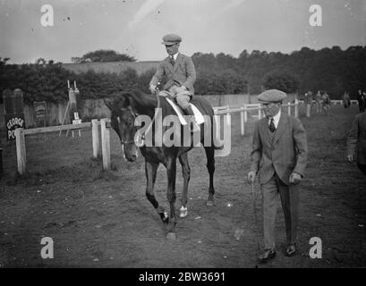 Cheval de course Manitioba , G Richards up , marchant sur un parcours de course avec l'homme marchant le long de juin 1933 Banque D'Images