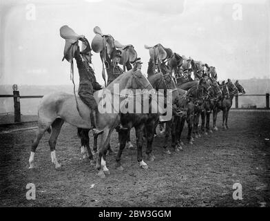 Répétition de cavalerie pour le tournoi Royal . Déselle leurs montages sur des sauts à couper le souffle et de réaliser les plus difficiles exploits avec de superbes chevaux , les troopers de l'école d'équitation à Weedon , Northamptonshire , sont réhéasring pour le tournoi Royal , qui s'ouvre à Olympia le mois prochain . Les hommes qui y participent sont choisis des unités de cavalerie de l'Armée britannique . Photos montre , trooper prend un saut sans l'aide de l'étrier ou de la rein . 14 avril 1936 Banque D'Images