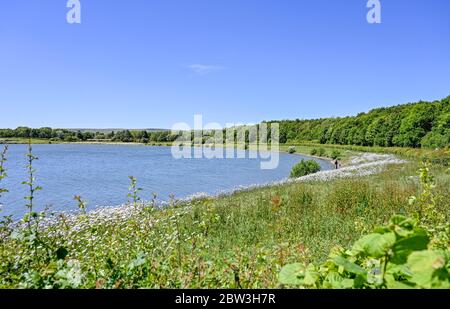 Eastbourne UK 29 mai 2020 - pêcheurs au réservoir d'Arlington près d'Eastbourne, dans le Sussex, lors d'une journée chaude et ensoleillée pendant la crise pandémique du coronavirus COVID-19 . Crédit : Simon Dack / Alamy Live News Banque D'Images