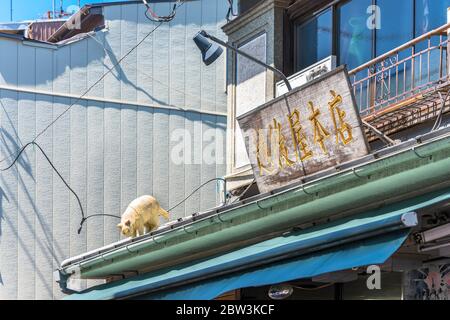 tokyo, japon - mars 31 2020: Ancienne et rétro rue commerçante de Yanaka Ginza célèbre pour ses chats blancs sculptés sur les toits des magasins comme Banque D'Images