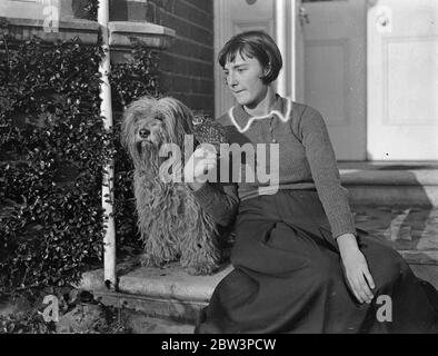 Hampshire fille réussit à garder la chouette comme animal de compagnie . Elle l'a sauvé de garçons espiègles - maintenant elle n'est jamais en retard pour l'école . Pete , la chouette brune , avec sa maîtresse , Jacqueline Veall , et Ruff , l'ancien chien de berger . 8 décembre 1935 Banque D'Images