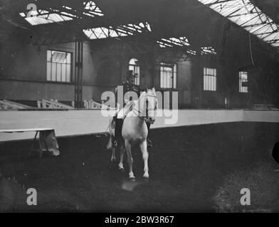 Chef de l'équipe viennoise pour le spectacle international de chevaux . Les cavaliers de l'école d'équitation impériale historique de Vienne ont répété le ballet équin à Olympia , Londres en préparation pour l'ouverture du salon international du cheval le 30 mai . Photos , le chef du comté Herr Zrust et son cheval Elizabeth . Il est le chef de l'équipe . 28 mai 1936 Banque D'Images