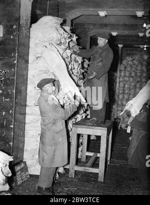 Londoner qui portent encore des chapeaux et des manteaux ! . Ils travaillent dans le stockage en chambre froide . Même en ce mois d'août, il y a un endroit à Londres où les chapeaux et les manteaux sont toujours les bienvenus. C'est le stockage au froid de l'autorité du port de Londres dans Charterhouse Street , où les hommes manipulent de la viande toute la journée avec des vêtements lourds comme protection contre la fritte . 8 août 1935 Banque D'Images