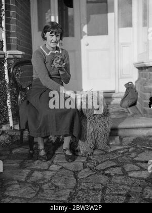 Hampshire fille réussit à garder la chouette comme animal de compagnie . Elle l'a sauvé de garçons espiègles - maintenant elle n'est jamais en retard pour l'école . Pete , la chouette brune , avec sa maîtresse , Jacqueline Veall , et Ruff , l'ancien chien de berger . 8 décembre 1935 Banque D'Images