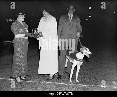 Les femmes propriétaires première et deuxième dans les lauriers . Le haut de la route de Carlow bat le Jubilé fin en un temps record . Top of the Carlow Road , propriété de Mme Cearns , a remporté les lauriers de Wimbledon en 28.39 secondes , un temps record pour la course . Sydney Orton , l' entraîneur , a ainsi gagné sa troisième victoire dans le classique . Le vainqueur du Derby , Fine Jubilee , propriété de Mme Yate , était deuxième et a donc été privé de la très convoitée triple couronne , car il avait déjà gagné le Coller d'or en plus du Derby . Photos , Mme Yate présentant le trophée à Mme Cearns . Le sommet de la route Garlow est maintenu par la traine Banque D'Images