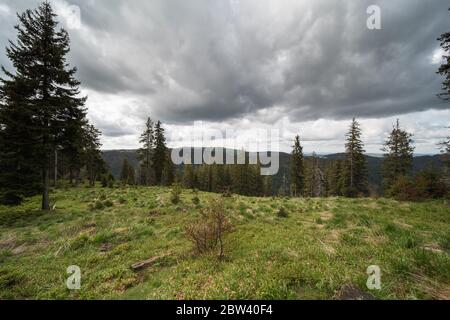 C'est le sommet de la spießhorn 1350m de haut dans la forêt noire du sud en Allemagne, sur le sommet il y a un pavillon d'observation. Banque D'Images