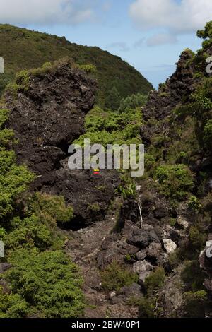 Sentier de randonnée de Gruta do natal sur l'île de Terceira aux Açores. Banque D'Images