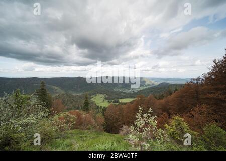 C'est le sommet de la spießhorn 1350m de haut dans la forêt noire du sud en Allemagne, sur le sommet il y a un pavillon d'observation. Banque D'Images