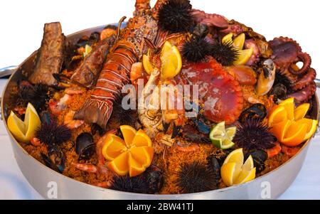 Fruits de mer. Fruits de mer méditerranéens préparés sur fond blanc Banque D'Images