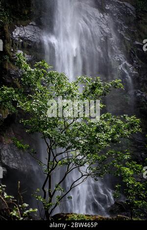 Afrique, Afrique de l'Ouest, Ghana, WLI Falls. Chutes d'eau WLI au milieu des montagnes au Ghana. Banque D'Images