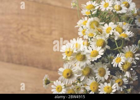 Bouquet de chamomiles sur fond de bois. Spae pour votre texte. Banque D'Images