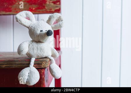 Une vieille petite souris blanche est assise sur une vieille chaise rouge sur le fond d'un mur blanc. Concept de solitude dans l'enfance et la vieillesse. Banque D'Images