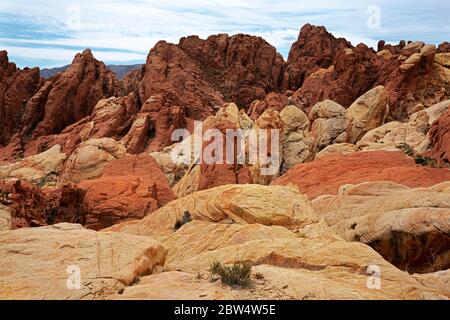 NV00203-00...NEVADA - roche aux couleurs vives le long du bord du Fire Canyon dans le parc national de la Vallée de feu. Banque D'Images