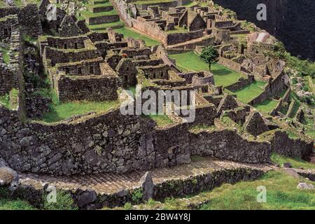 Murs de pierre ruines de maisons sur une pente formant l'ancienne ville inca de Machu Picchu à la chaîne de montagnes des Andes, au Pérou. Banque D'Images