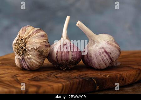 Allium sativum, bulbes d'ail sur une planche à découper en bois avec un fond bleu foncé Banque D'Images