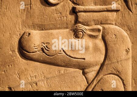 Tête de crocodile représentant un ancien dieu mythologique égyptien sculpté sur le mur du temple Kom Ombo près d'Assouan en Égypte. Banque D'Images