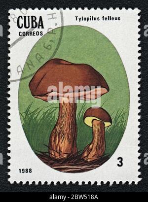 Tylopilus felleus champignon non comestible. Série : champignons non comestibles et toxiques. Timbre-poste Cuba 1988 Banque D'Images