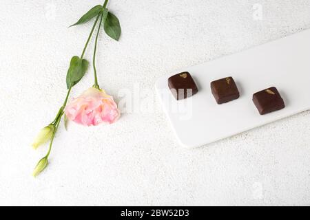 Chocolats faits main sur une assiette blanche. Fond décoratif en pierre. Banque D'Images