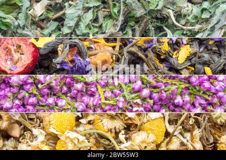 Santé Heather fleurs séchées thé et différentes herbes fond. Homéopathie et phytothérapie, désinfectant, anti inflammatoire, gros plan, sélectif Banque D'Images