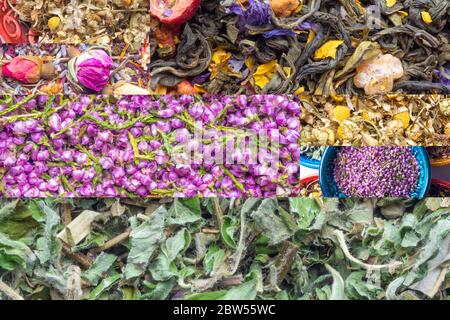 Santé Heather fleurs séchées thé et différentes herbes fond. Homéopathie et phytothérapie, désinfectant, anti inflammatoire, gros plan, sélectif Banque D'Images