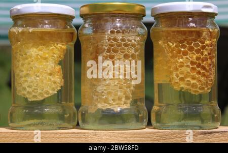 Trois pots de miel à vendre. Le miel est une substance alimentaire douce et visqueuse faite par les abeilles et certains insectes apparentés. Banque D'Images