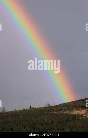 Rainbow dans la campagne irlandaise pendant votre voyage Banque D'Images