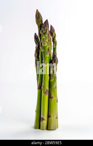 un bouquet d'asperges fraîches et vertes se tient sur un fond blanc. Banque D'Images
