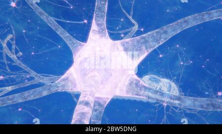 illustration 3d neurones cérébraux avec synapses et axones Banque D'Images