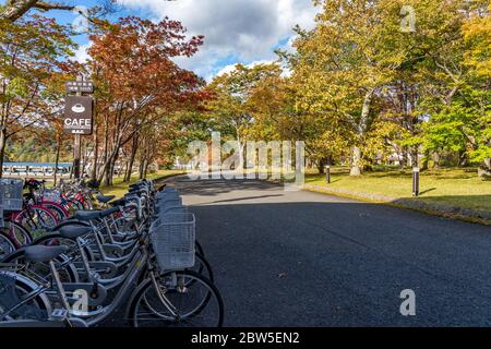 Lac Towada en automne saison des feuillages, location de vélos à proximité de sentiers de randonnée. Parc national de Towada Hachimantai, Aomori, Japon Banque D'Images