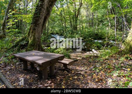 Banc en bois dans la forêt, belle scène de nature en été. Rivière coulant, feuilles vertes, rochers mousseux dans le ruisseau Oirase par beau temps Banque D'Images