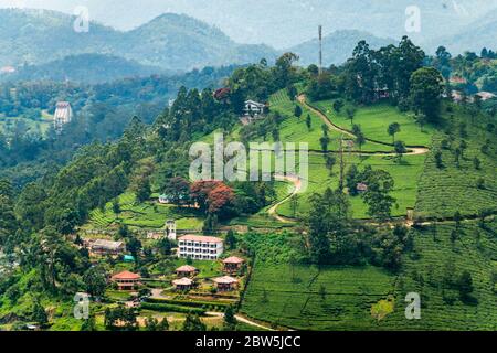 Bureaux d'usine, maisons parmi les plantations de thé à Munnar, Inde Banque D'Images