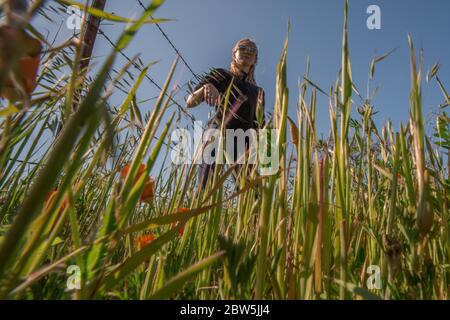 Une femme blonde debout dans l'herbe vue de la perspective d'un insecte dans l'herbe. Angle inhabituel par dessous. Banque D'Images