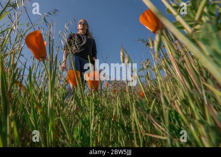 Une femme blonde debout dans l'herbe vue de la perspective d'un insecte dans l'herbe. Angle inhabituel par dessous. Banque D'Images