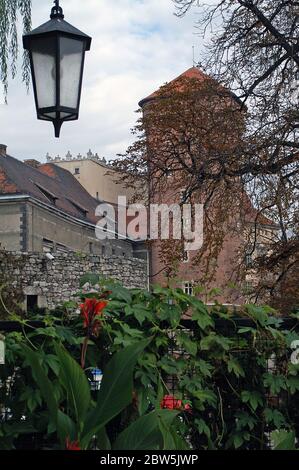 Pologne, Cracovie, Château royal de Wawel, Tour des sénateurs. Polen, Krakau, Königliches Schloss Wawel, Senatorenturm. Baszta senatorska, Cracovie Banque D'Images