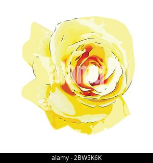 Rose jaune. Illustration vectorielle. Isolé sur fond blanc Illustration de Vecteur