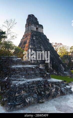 Temple I ou Pyramide de la Grande Jaguar dans la forêt tropicale de Peten, Tikal, Guatemala. Banque D'Images