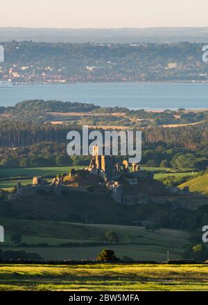 Château de Corfe, Dorset, Royaume-Uni. 29 mai 2020. Météo Royaume-Uni. La vue de Swyre Head des ruines du château de Corfe à Dorset illuminée par le soleil de fin d'après-midi à la fin d'une chaude journée ensoleillée avec un ciel clair avec Poole Bay au loin. Crédit photo : Graham Hunt/Alay Live News Banque D'Images