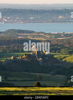 Château de Corfe, Dorset, Royaume-Uni. 29 mai 2020. Météo Royaume-Uni. La vue de Swyre Head des ruines du château de Corfe à Dorset illuminée par le soleil de fin d'après-midi à la fin d'une chaude journée ensoleillée avec un ciel clair avec Poole Bay au loin. Crédit photo : Graham Hunt/Alay Live News Banque D'Images