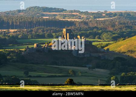 Château de Corfe, Dorset, Royaume-Uni. 29 mai 2020. Météo Royaume-Uni. La vue de Swyre Head des ruines du château de Corfe à Dorset illuminée par le soleil de fin d'après-midi à la fin d'une chaude journée ensoleillée avec un ciel clair avec Poole Bay au loin. Crédit photo : Graham Hunt/Alay Live News Banque D'Images