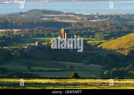 Château de Corfe, Dorset, Royaume-Uni. 29 mai 2020. Météo Royaume-Uni. La vue de Swyre Head des ruines du château de Corfe à Dorset illuminée par le soleil de fin d'après-midi à la fin d'une chaude journée ensoleillée avec un ciel clair avec Poole Bay au loin. Crédit photo : Graham Hunt/Alay Live News Banque D'Images