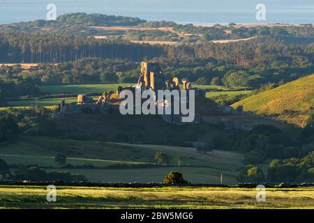 Château de Corfe, Dorset, Royaume-Uni. 29 mai 2020. Météo Royaume-Uni. La vue de Swyre Head des ruines du château de Corfe à Dorset illuminée par le soleil de fin d'après-midi à la fin d'une chaude journée ensoleillée avec un ciel clair avec Poole Bay au loin. Crédit photo : Graham Hunt/Alay Live News Banque D'Images