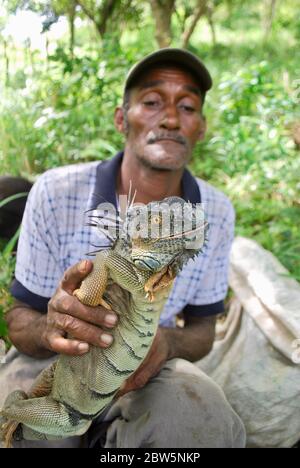 Homme tenant un iguana, île de Providencia (en anglais, Providence), Colombie Banque D'Images