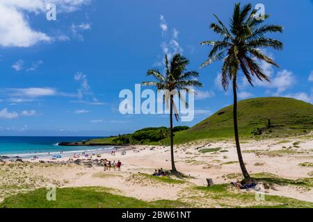 Plage d'Anakena et palmiers, seule plage de sable blanc sur l'île de Pâques, au Chili Banque D'Images