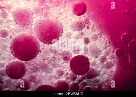 agrandissement des bulles de cellules violettes. Évolution et croissance de la microbiologie en tant que concept macro photographie fond plein format. Banque D'Images