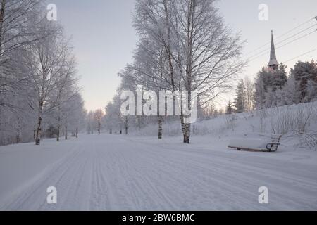 Journée de neige froide en Laponie finlandaise Banque D'Images