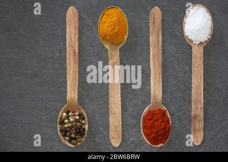 Quatre cuillères en bois avec poivre de couleur, curcuma moulu, paprika rose et sel grossier sur une assiette en ardoise sombre Banque D'Images