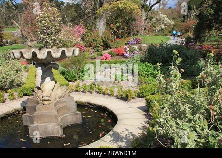 Jardins botaniques de Birmingham en Angleterre, Royaume-Uni Banque D'Images