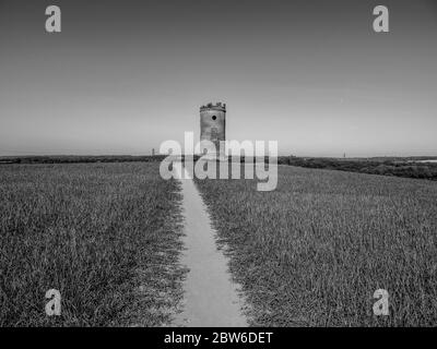 Black and White Landscape, Wilder's Folly, Tilehurst, Reading, Berkshire, Angleterre, Royaume-Uni, GB. Banque D'Images